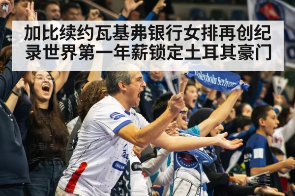volleyball stadium crowd